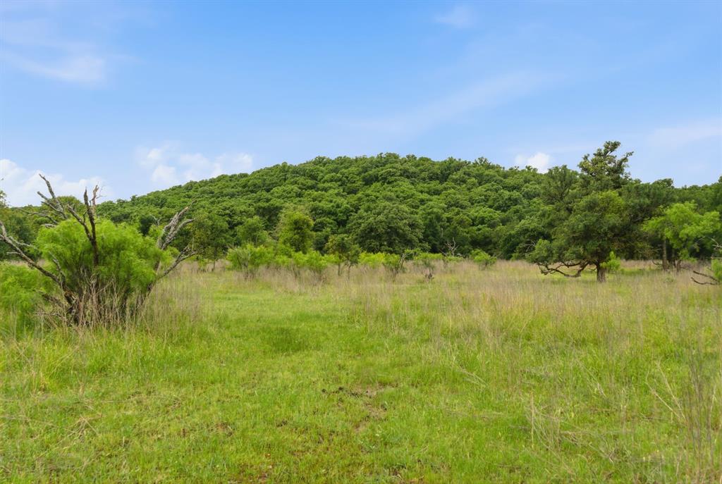Tbd Old Post Oak Road Bowie, TX 76230 - Photo 22 of 40 a view of a lake with a garden