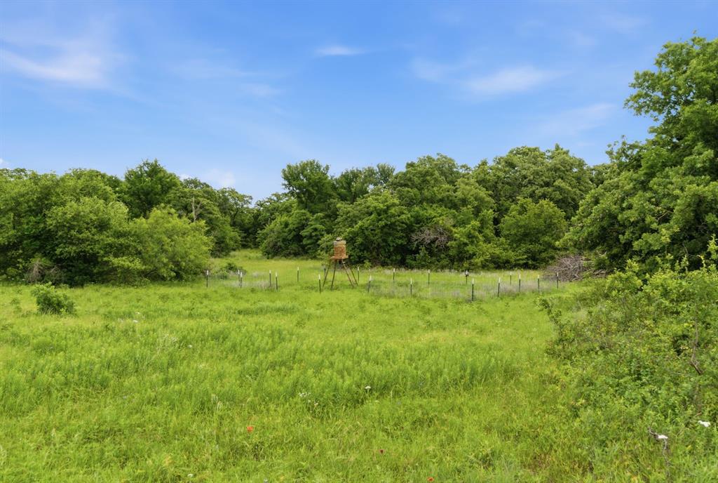 Tbd Old Post Oak Road Bowie, TX 76230 - Photo 24 of 40 a view of a yard with a tree