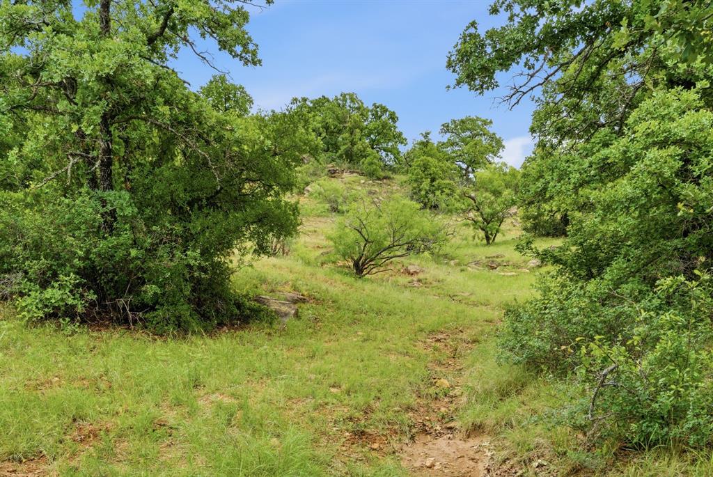 Tbd Old Post Oak Road Bowie, TX 76230 - Photo 28 of 40 a view of a garden