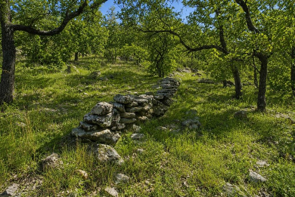 Tbd Old Post Oak Road Bowie, TX 76230 - Photo 29 of 40 a view of a lush green space