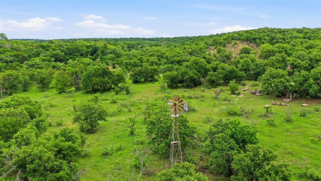 Tbd Old Post Oak Road Bowie, TX 76230 - Photo 3 of 40 a view of a green field with lots of plants in it