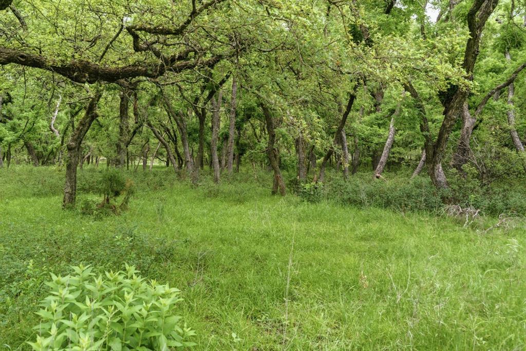 Tbd Old Post Oak Road Bowie, TX 76230 - Photo 31 of 40 a big yard with lots of green space and deers