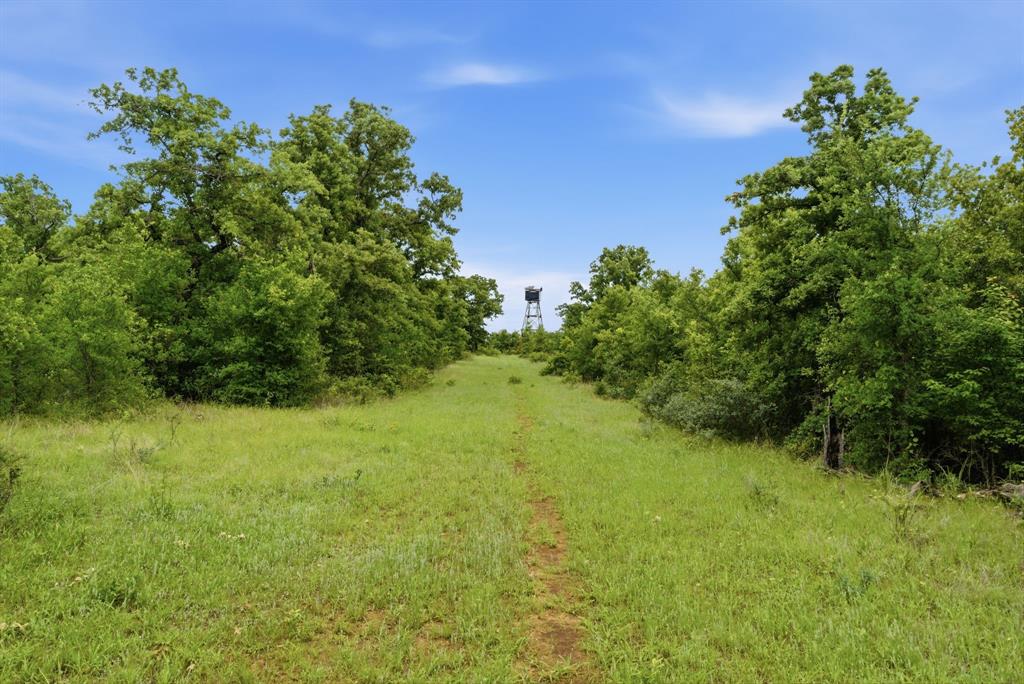 Tbd Old Post Oak Road Bowie, TX 76230 - Photo 5 of 40 a view of a big yard with plants and a tree