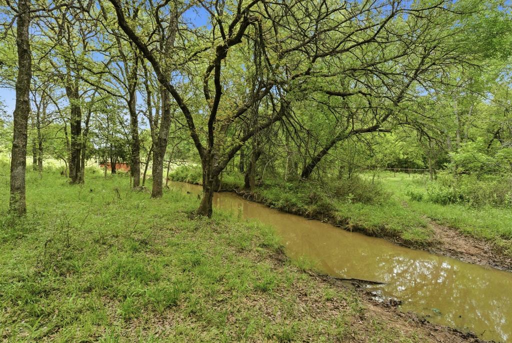 Tbd Old Post Oak Road Bowie, TX 76230 - Photo 10 of 40 a view of a big yard with large trees