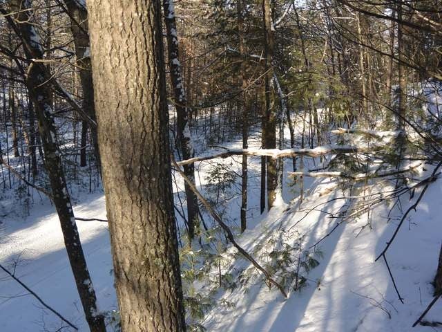 Lot 2 Hixon Road Minocqua, WI 54548 - Photo 13 of 14 Gallery Image 13