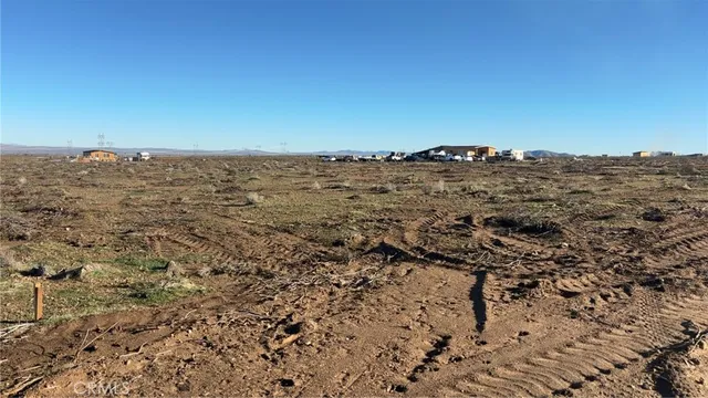 a view of a dry yard with wooden fence