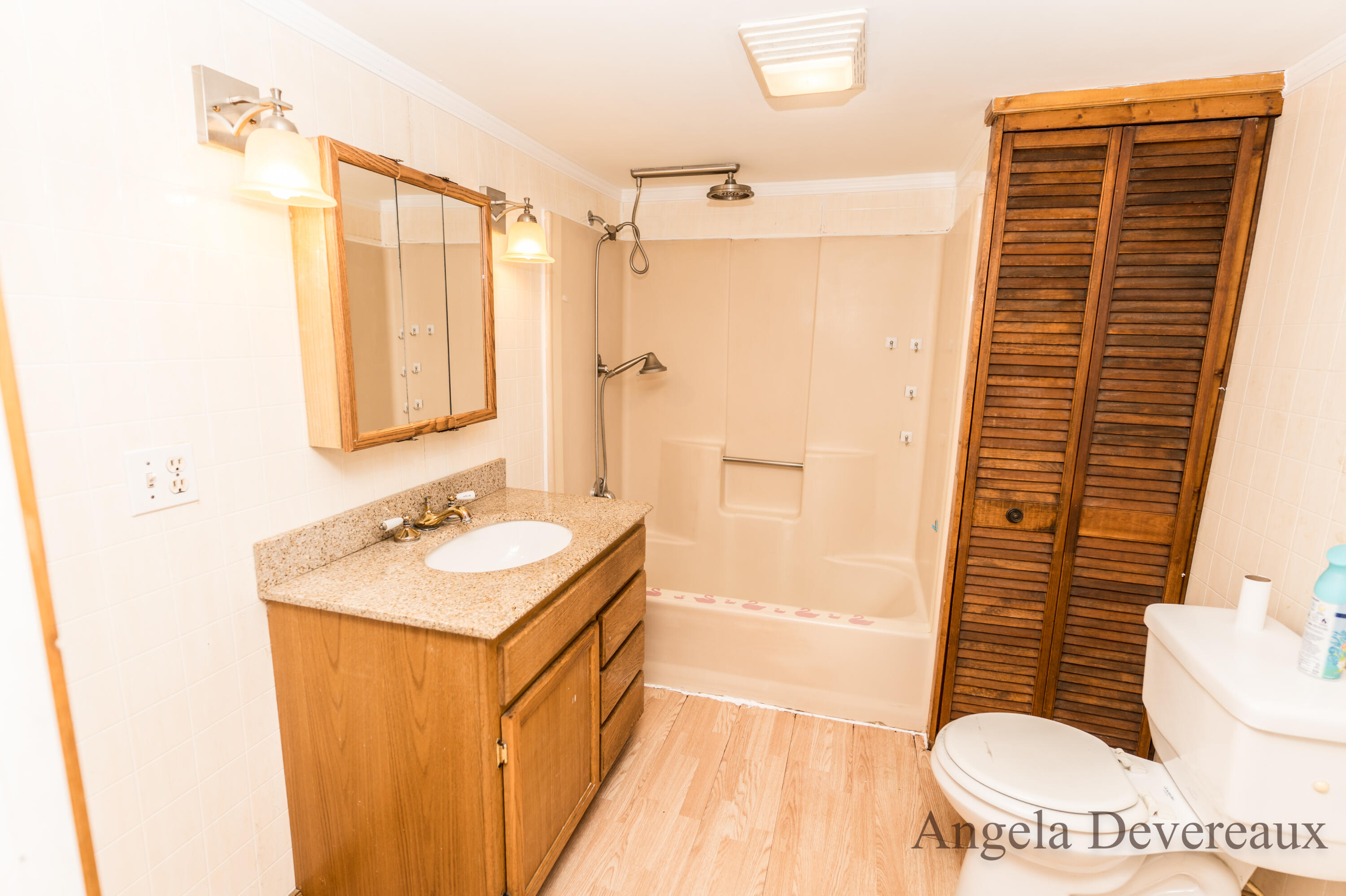 6101 North Caris Road Vestaburg, MI 48891 - Photo 11 of 36 DSC02032