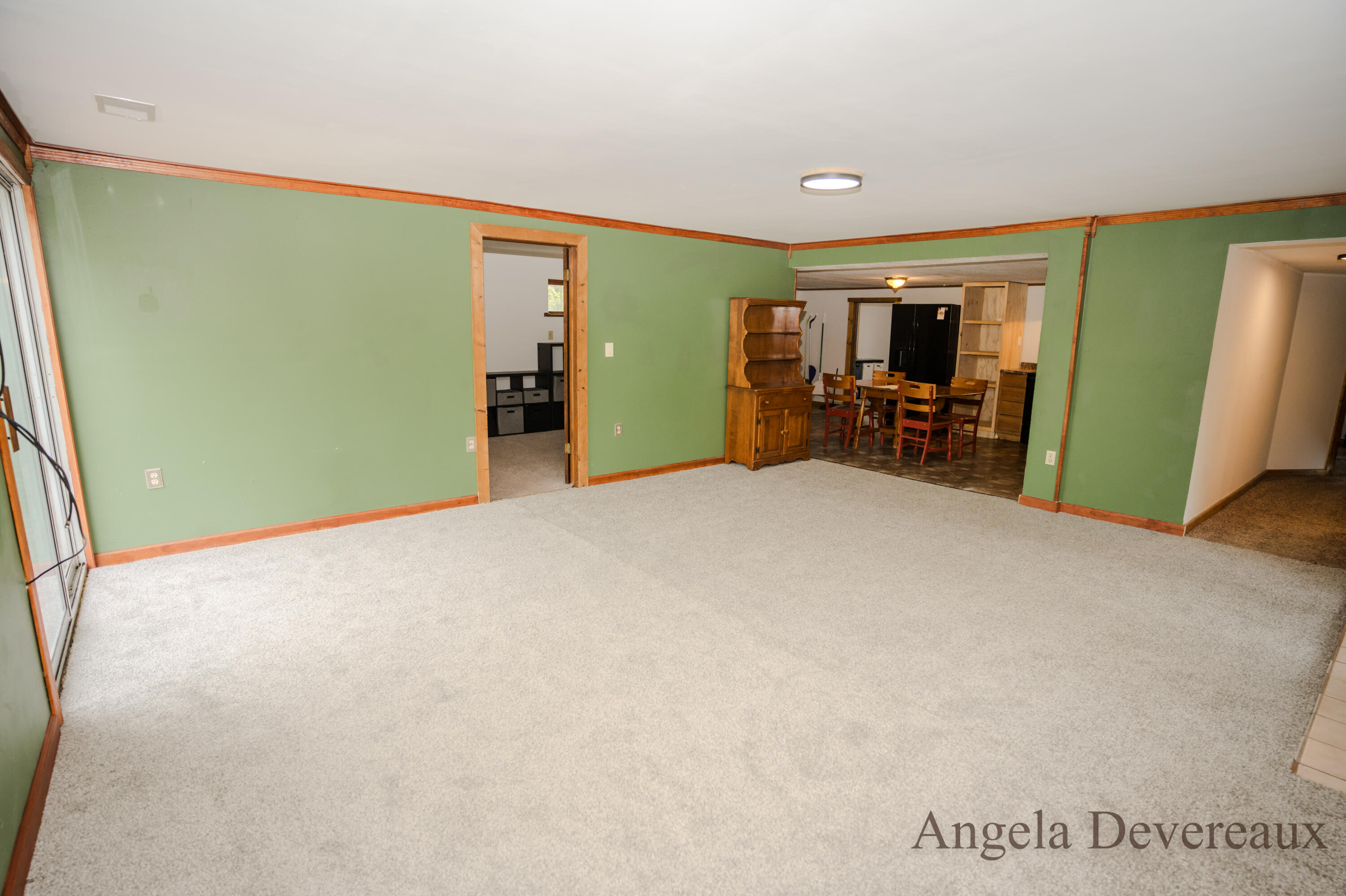 6101 North Caris Road Vestaburg, MI 48891 - Photo 15 of 36 DSC02010