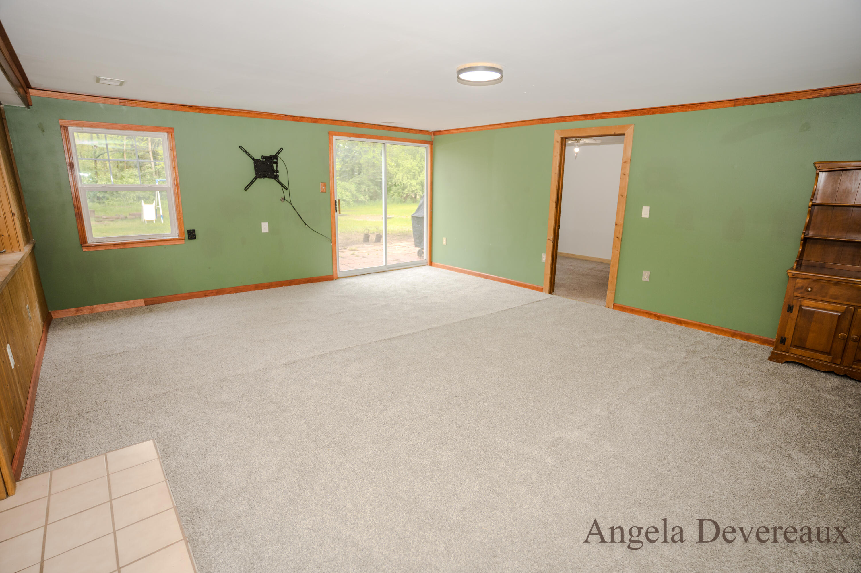 6101 North Caris Road Vestaburg, MI 48891 - Photo 16 of 36 DSC02006