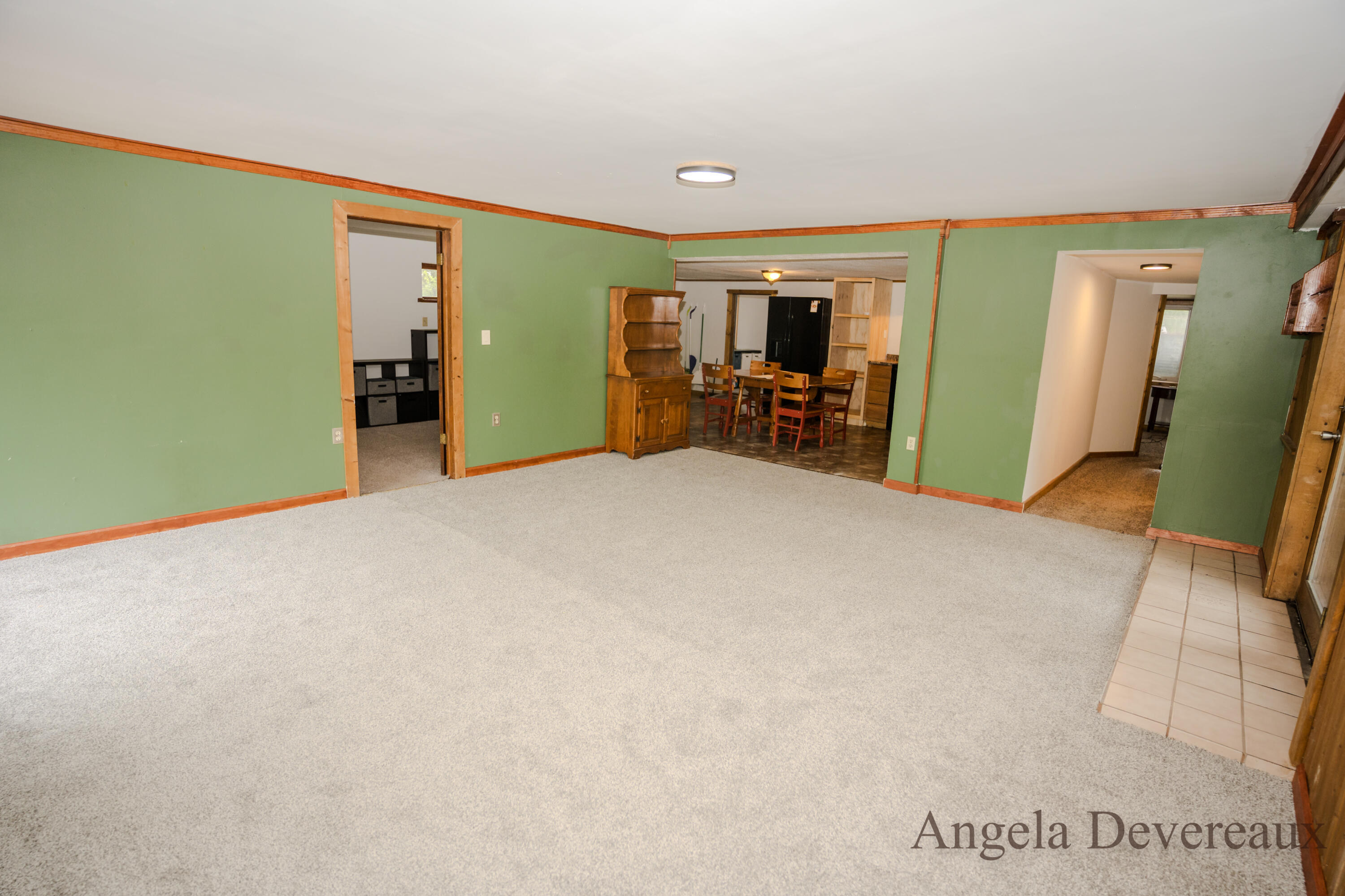 6101 North Caris Road Vestaburg, MI 48891 - Photo 18 of 36 DSC02011