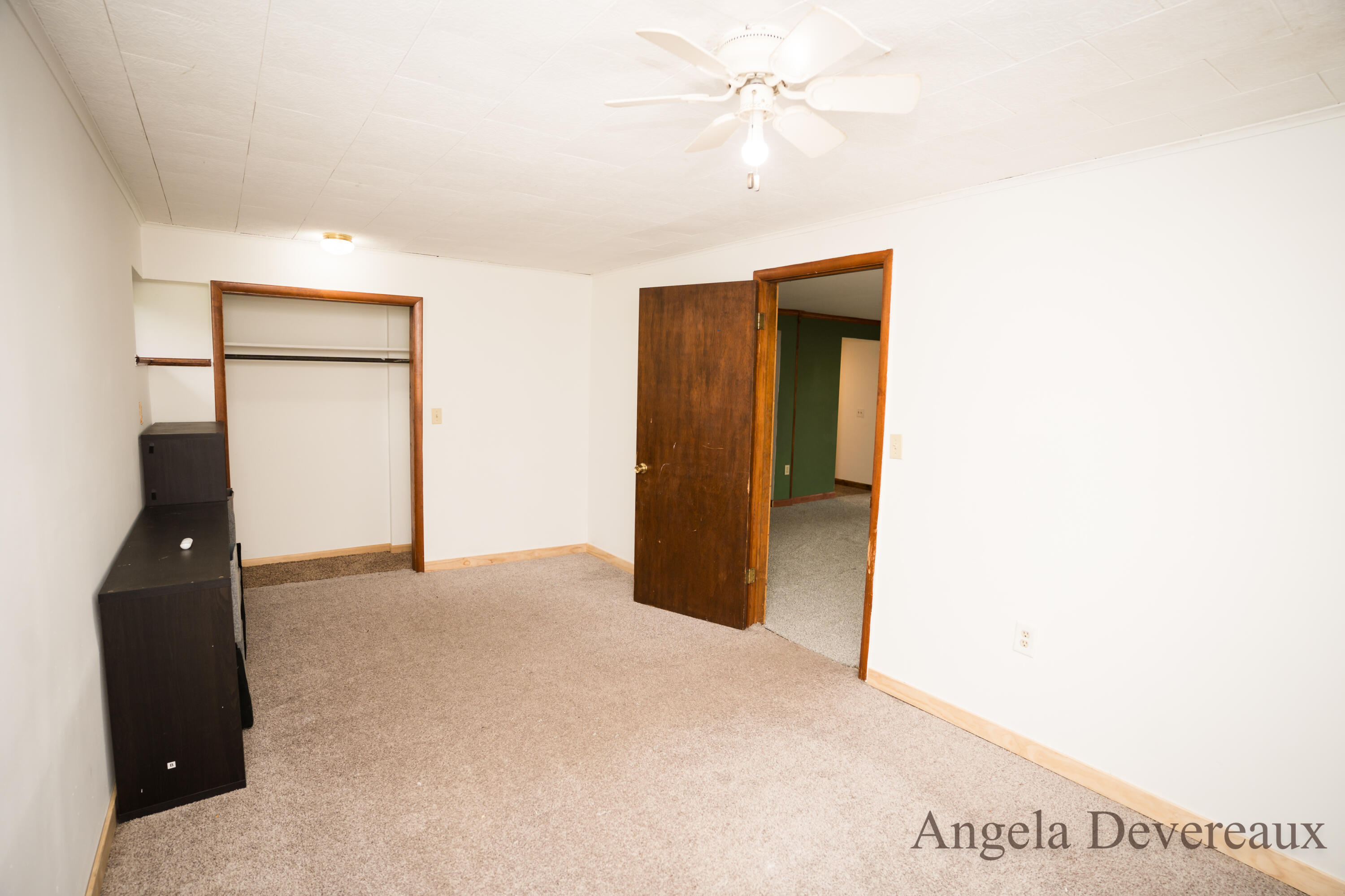 6101 North Caris Road Vestaburg, MI 48891 - Photo 24 of 36 DSC02014