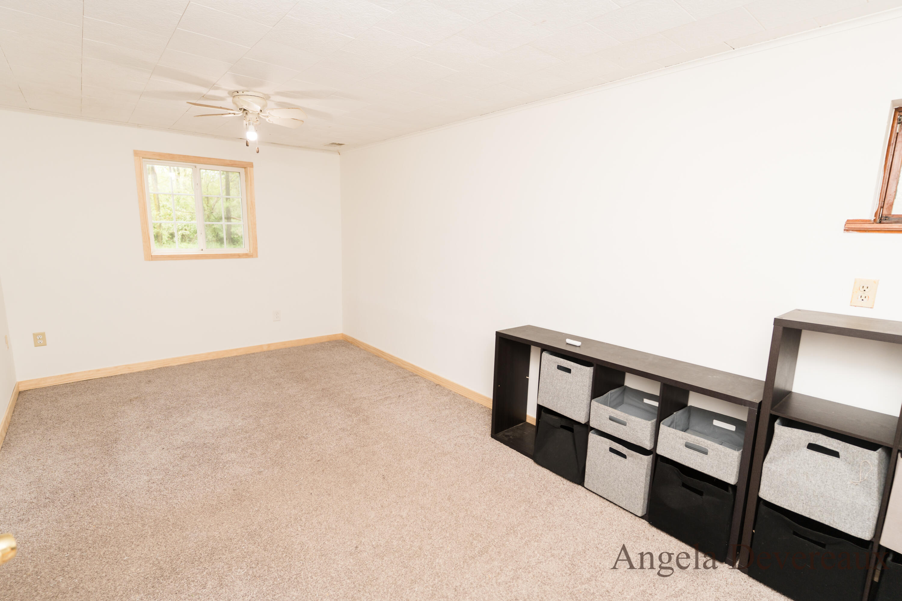 6101 North Caris Road Vestaburg, MI 48891 - Photo 25 of 36 DSC02015