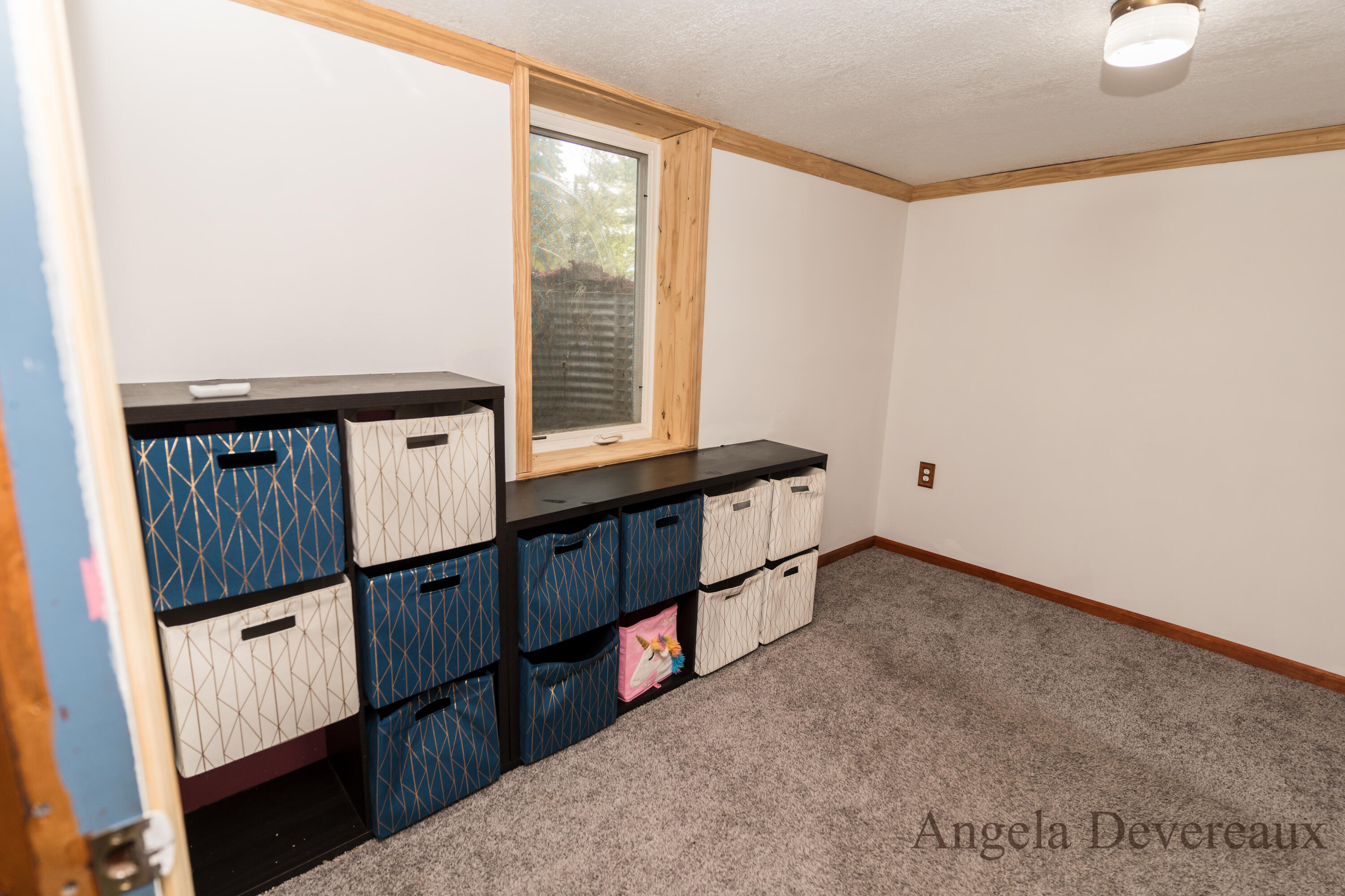 6101 North Caris Road Vestaburg, MI 48891 - Photo 29 of 36 DSC02027