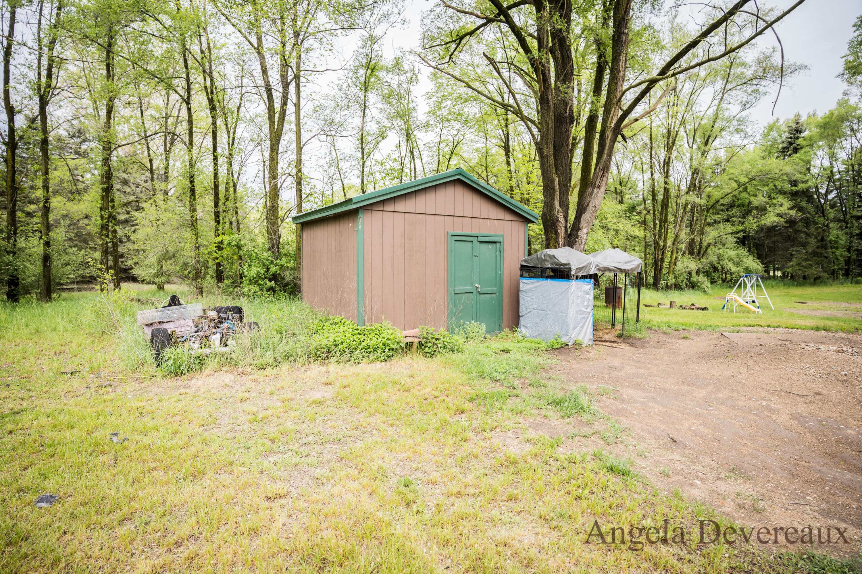 6101 North Caris Road Vestaburg, MI 48891 - Photo 35 of 36 DSC02058