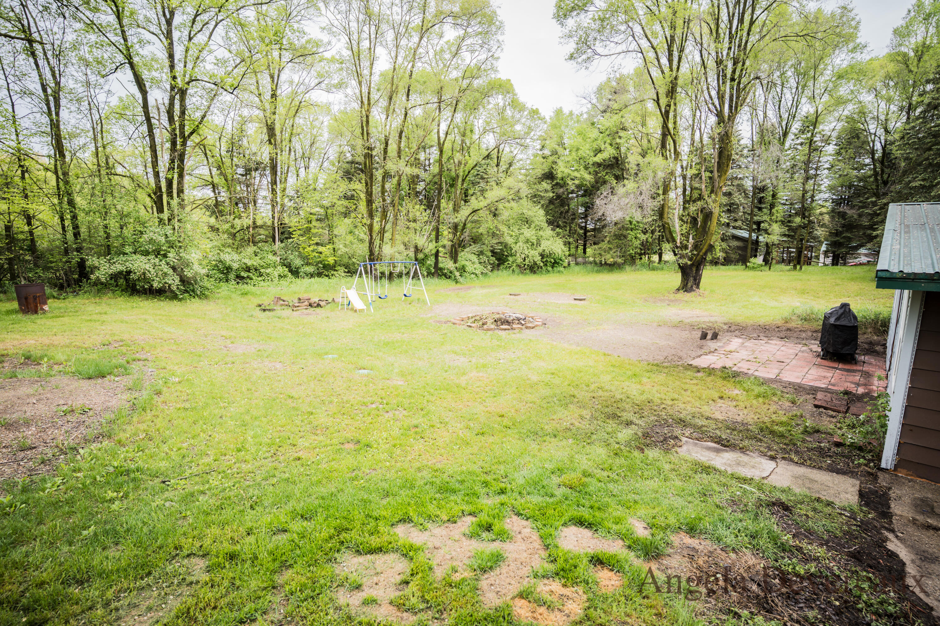 6101 North Caris Road Vestaburg, MI 48891 - Photo 36 of 36 DSC02061
