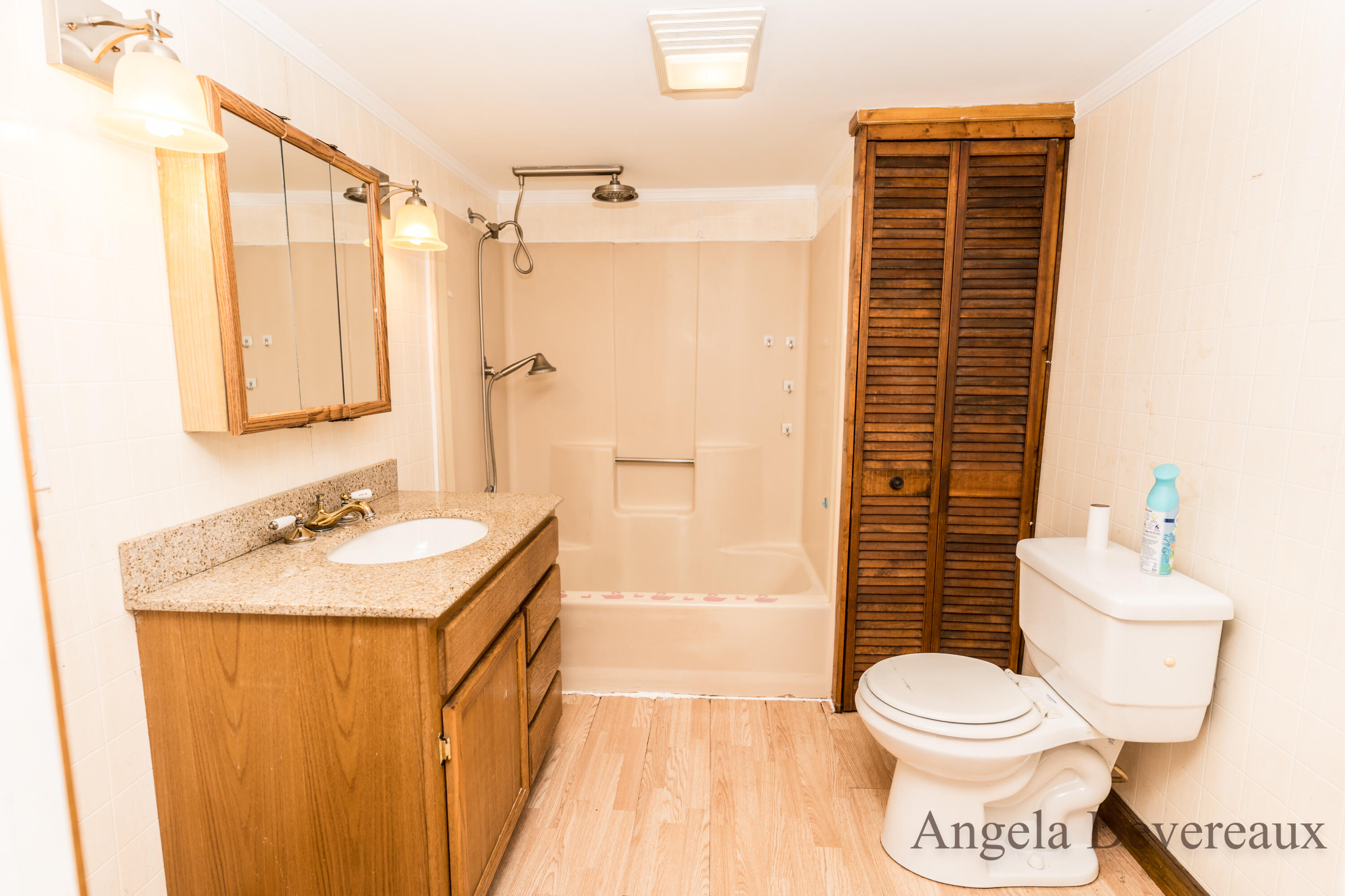6101 North Caris Road Vestaburg, MI 48891 - Photo 10 of 36 DSC02034