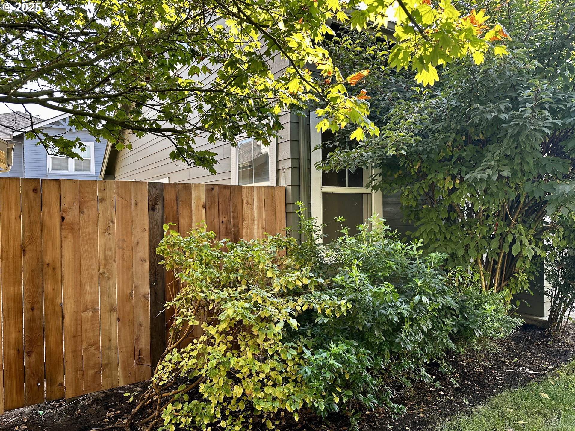 1629 Riley Lane Eugene, OR 97402 - Photo 6 of 34 Gallery Image 6