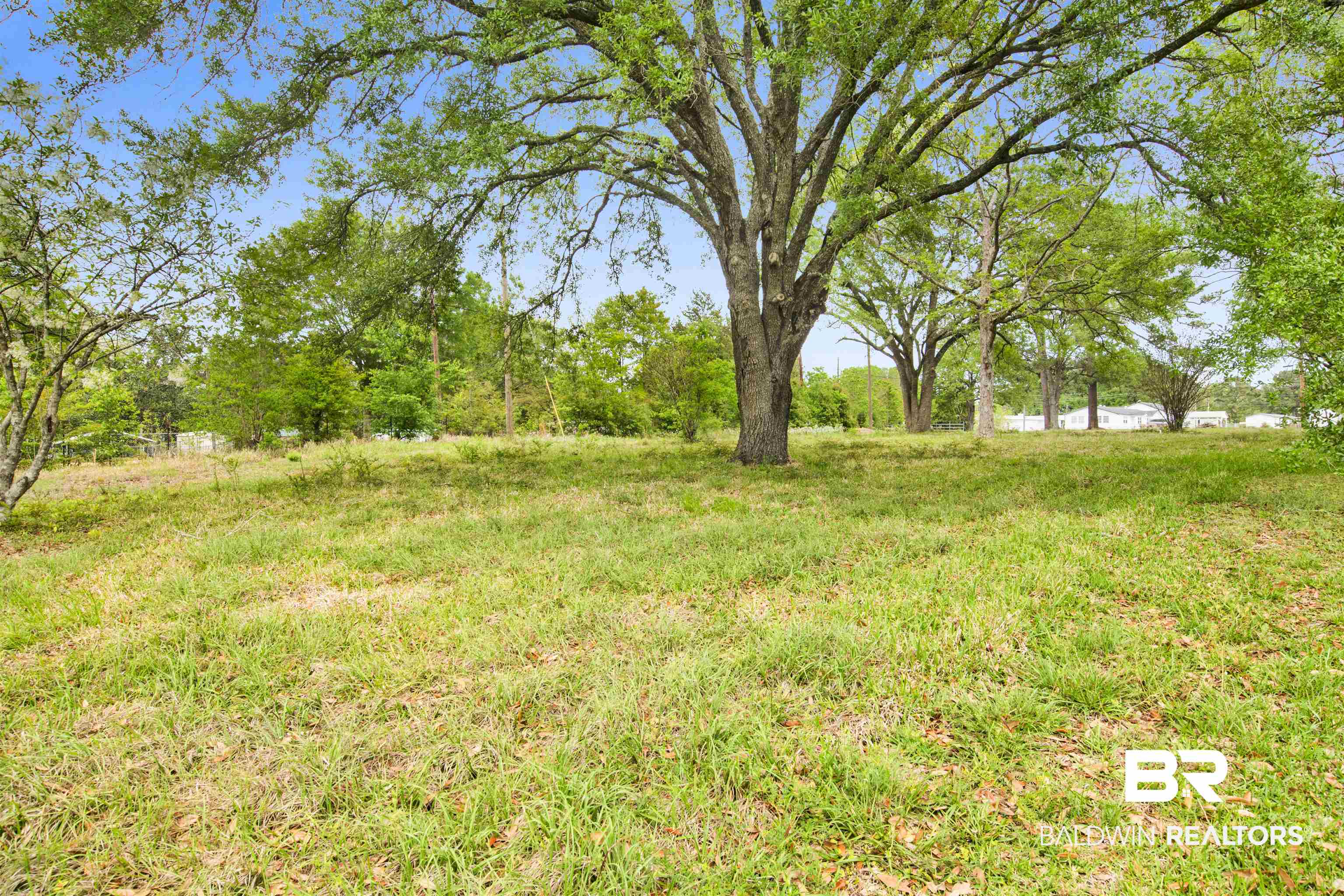 1060 Dawes Road Mobile, AL 36695 - Photo 6 of 8
