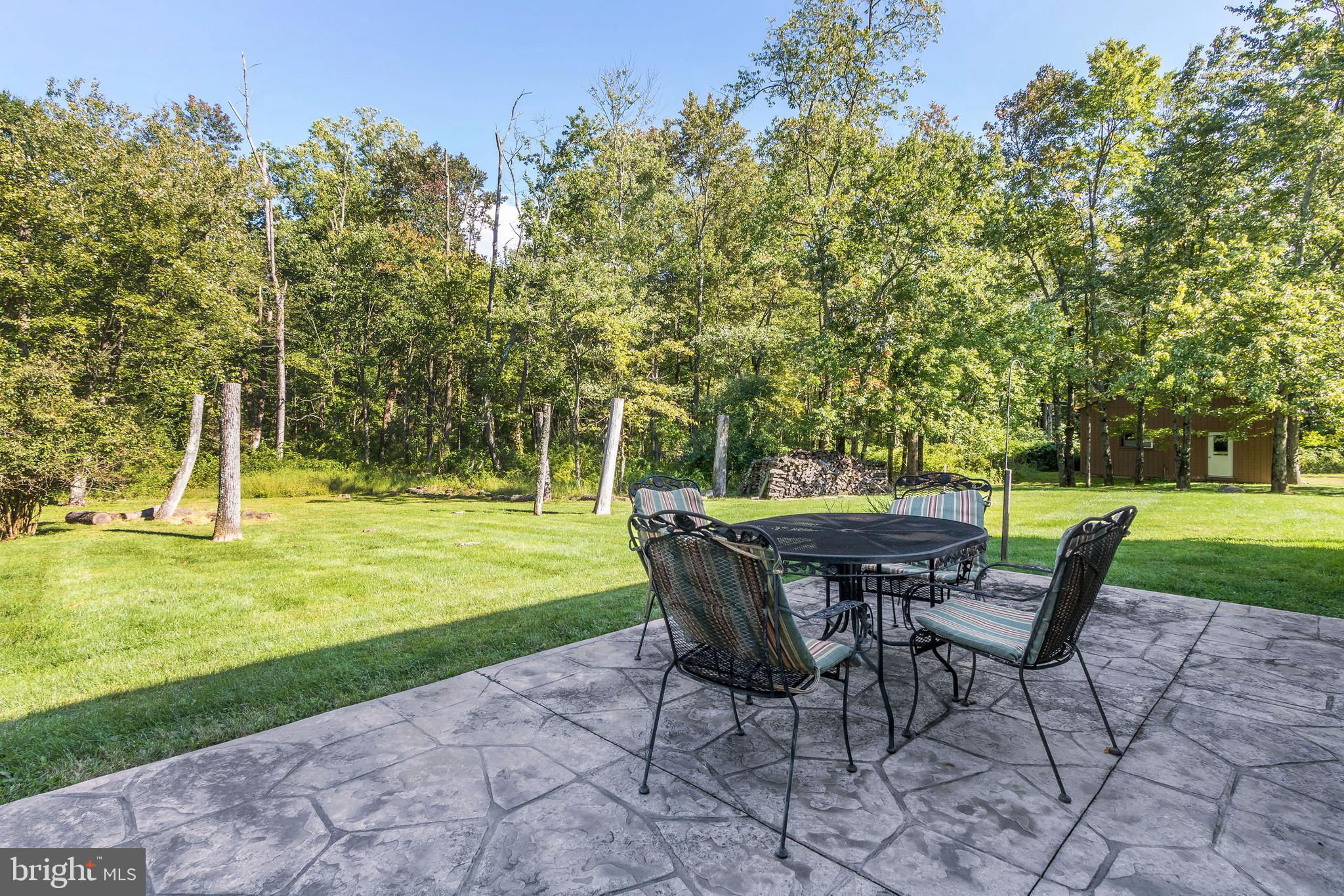 1409 Pleasant View Road Coopersburg, PA 18036 - Photo 34 of 50 Concrete terrace off screened porch
