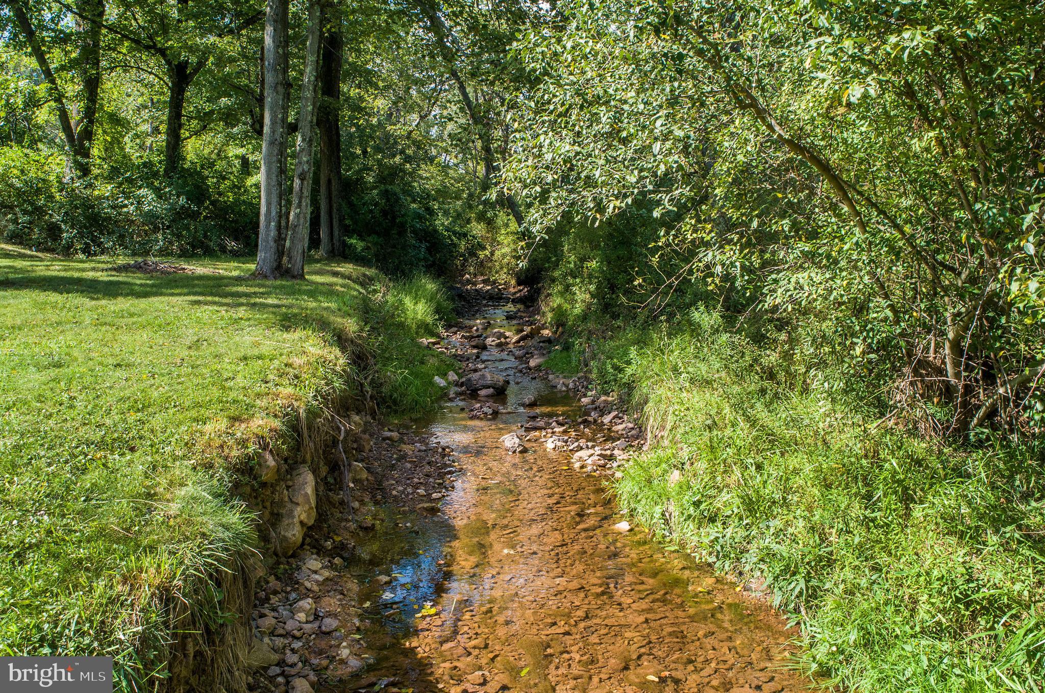 1409 Pleasant View Road Coopersburg, PA 18036 - Photo 49 of 50 Wet weather stream