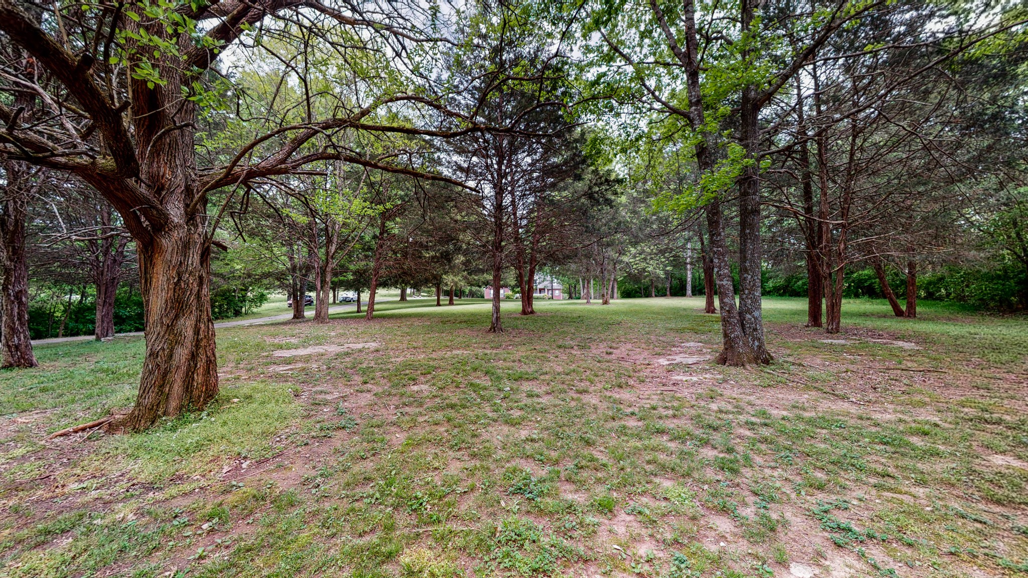 844 Preston Road Antioch, TN 37013 - Photo 11 of 60 Gallery Image 11