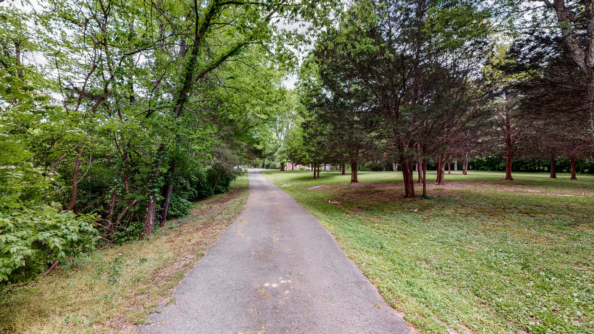 844 Preston Road Antioch, TN 37013 - Photo 8 of 60 Gallery Image 8
