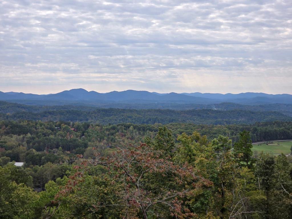 530 Tower Road Mineral Bluff, GA 30559 - Photo 3 of 43