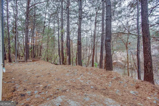 $2,850 | 3342 Landings S Drive Southwest, Atlanta, GA 30331