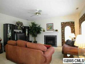 523 North Portman Lane Fort Mill, SC 29708 - Photo 4 of 8 a living room with furniture a fireplace and a potted plant