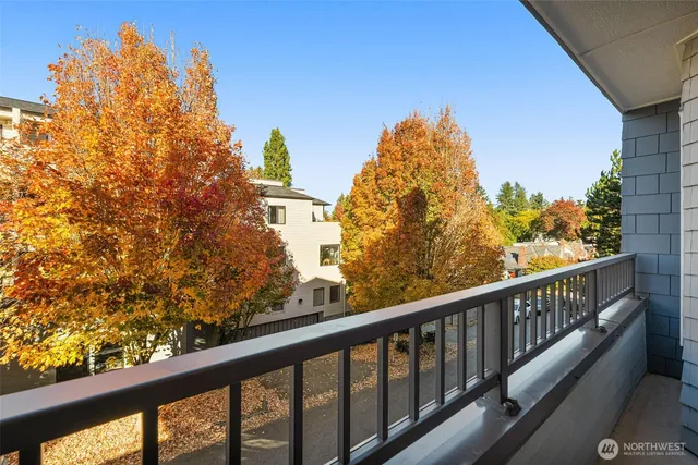 a view of a green field