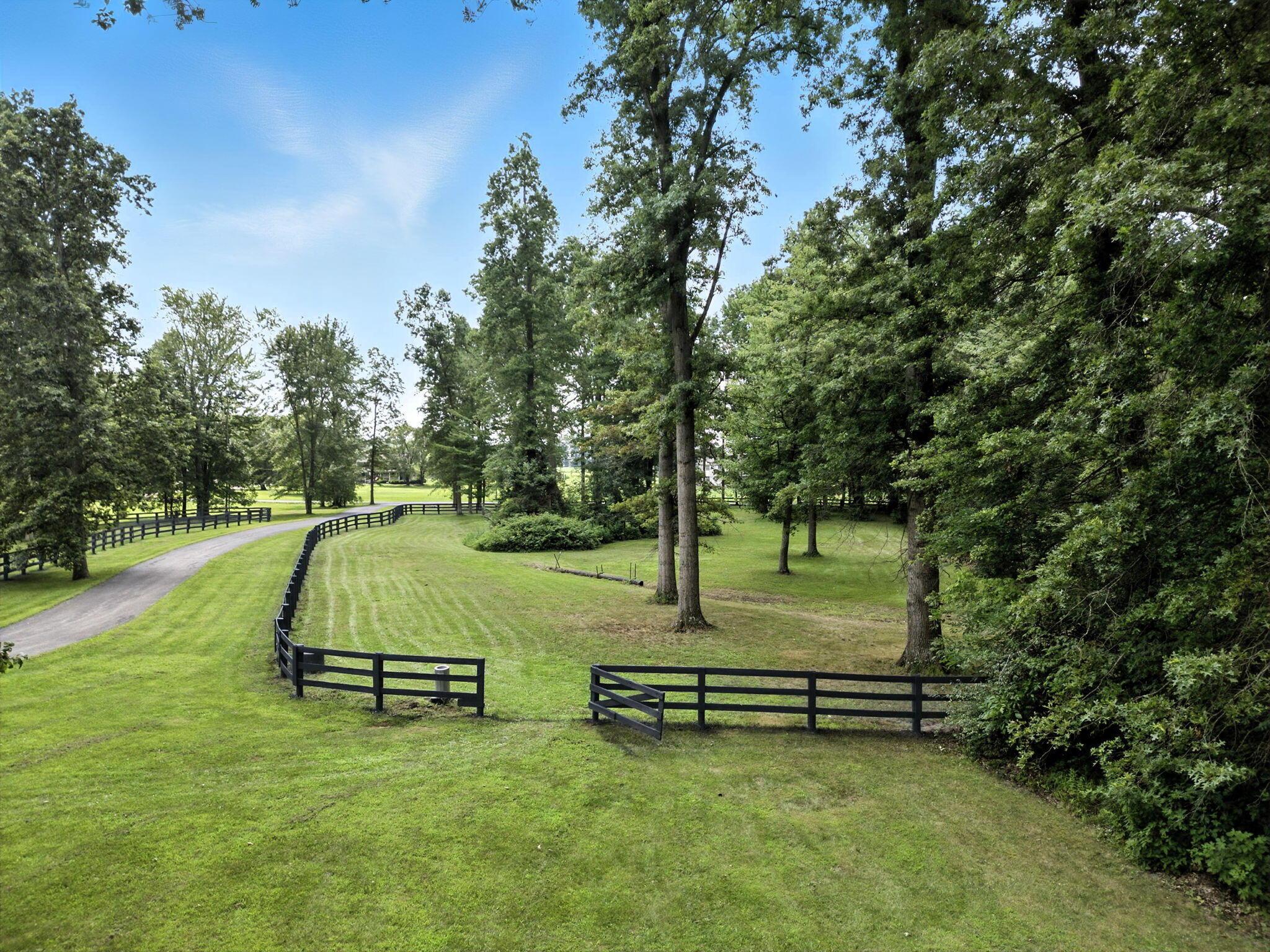8174 Windy Hollow Road Johnstown, OH 43031 - Photo 63 of 76 The Front Driveway and Pasture