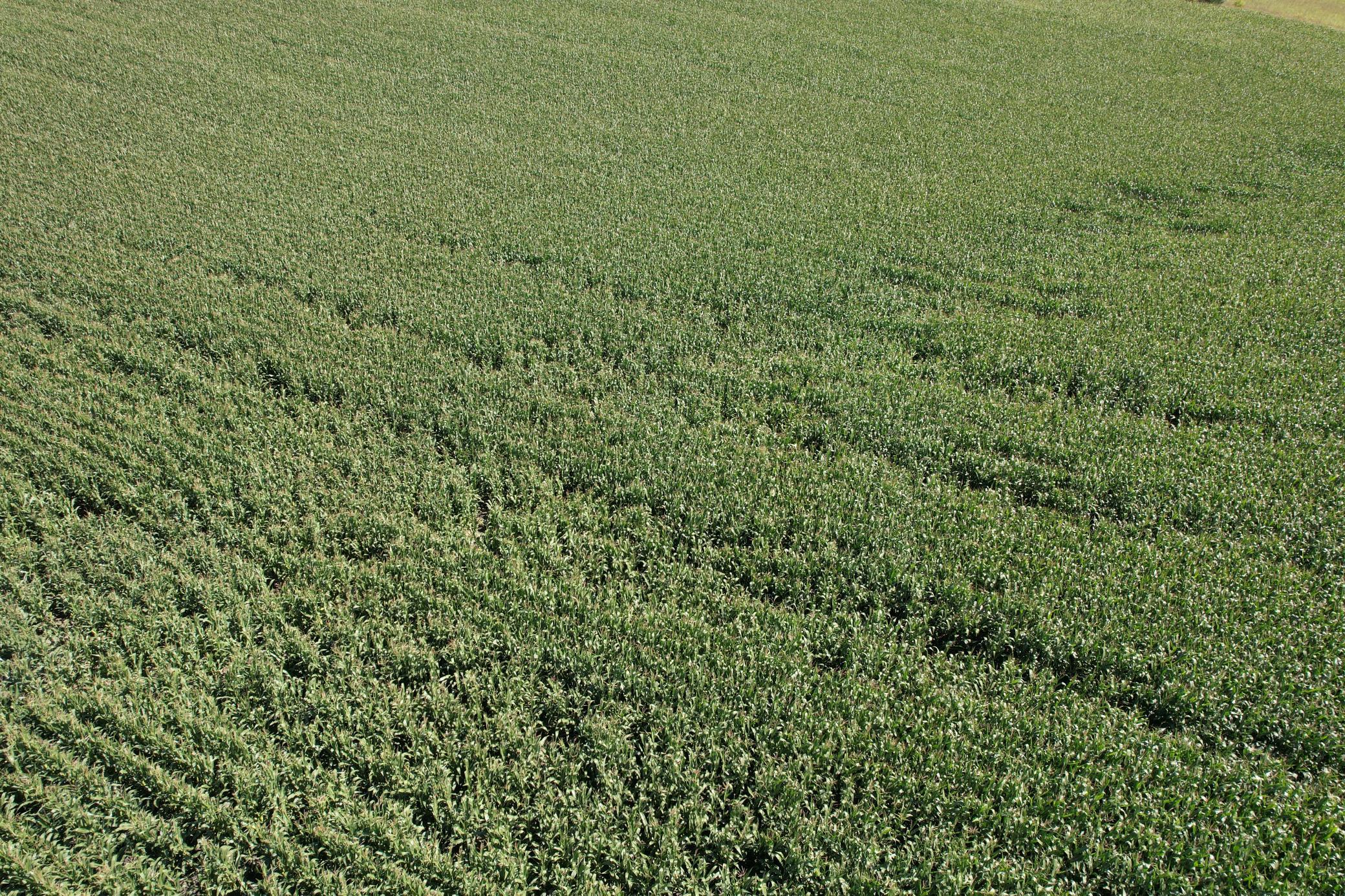 21 County Road Elbow Lake, MN 56531 - Photo 5 of 13