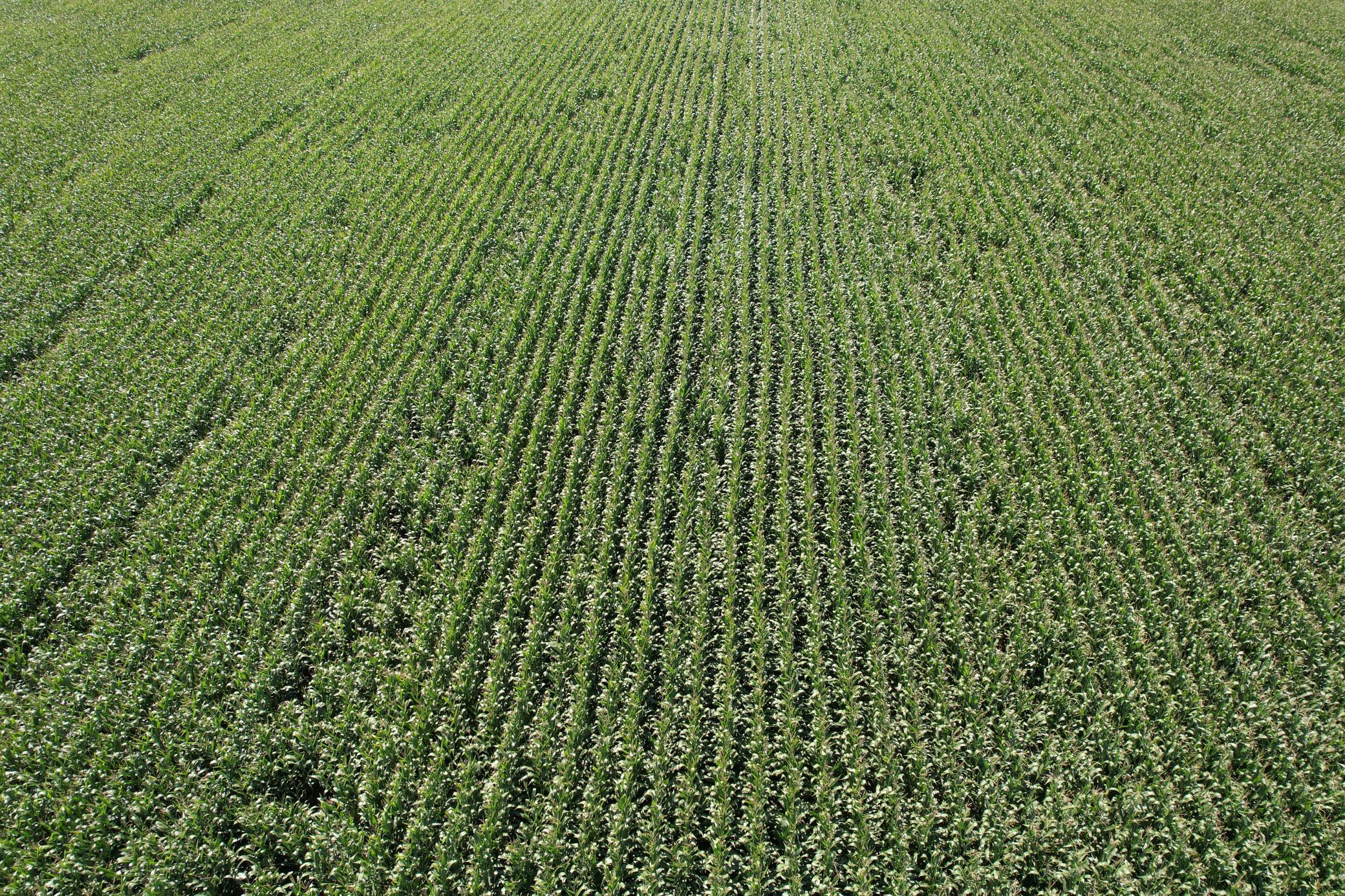 21 County Road Elbow Lake, MN 56531 - Photo 6 of 13