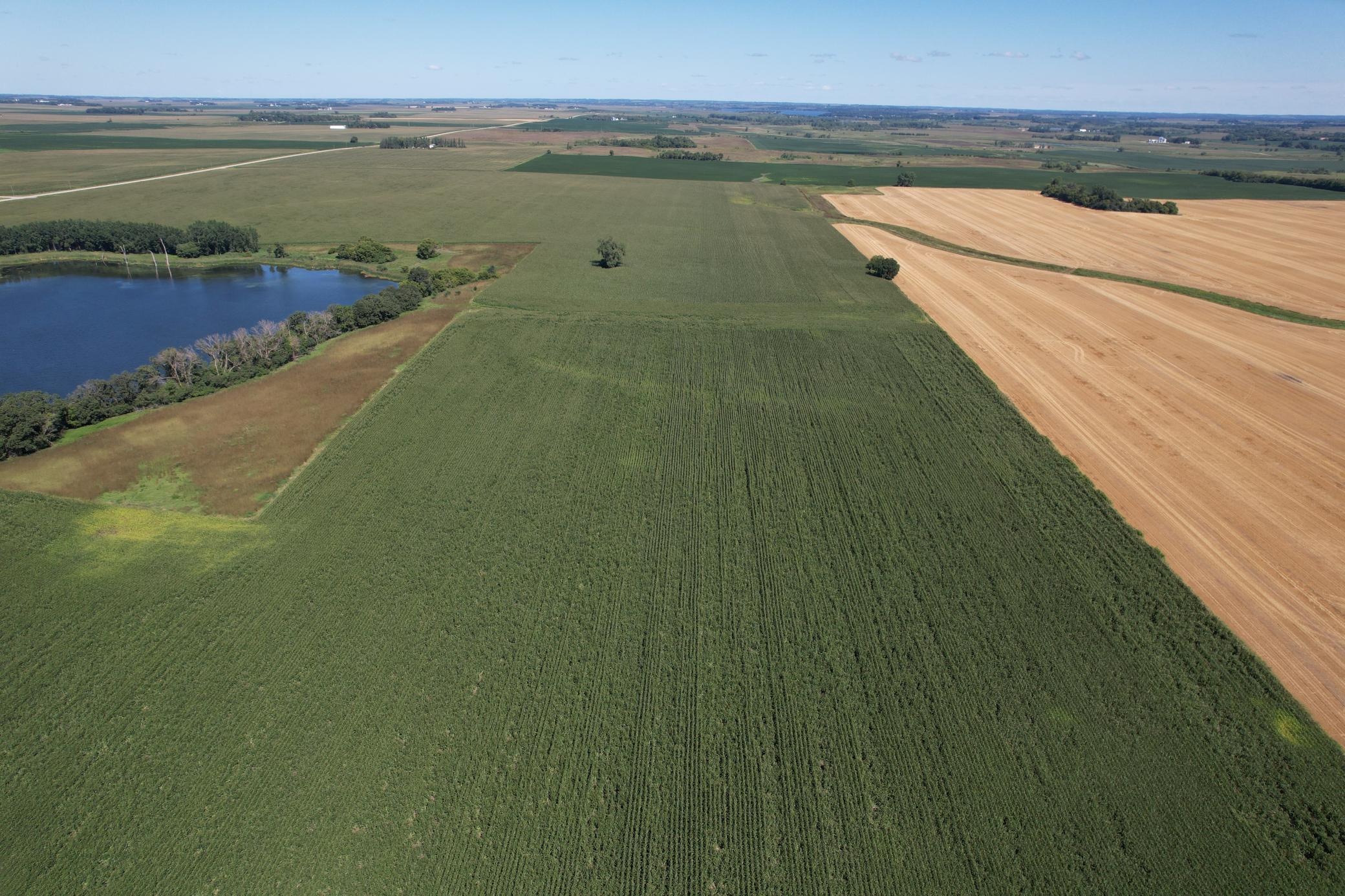 21 County Road Elbow Lake, MN 56531 - Photo 8 of 13