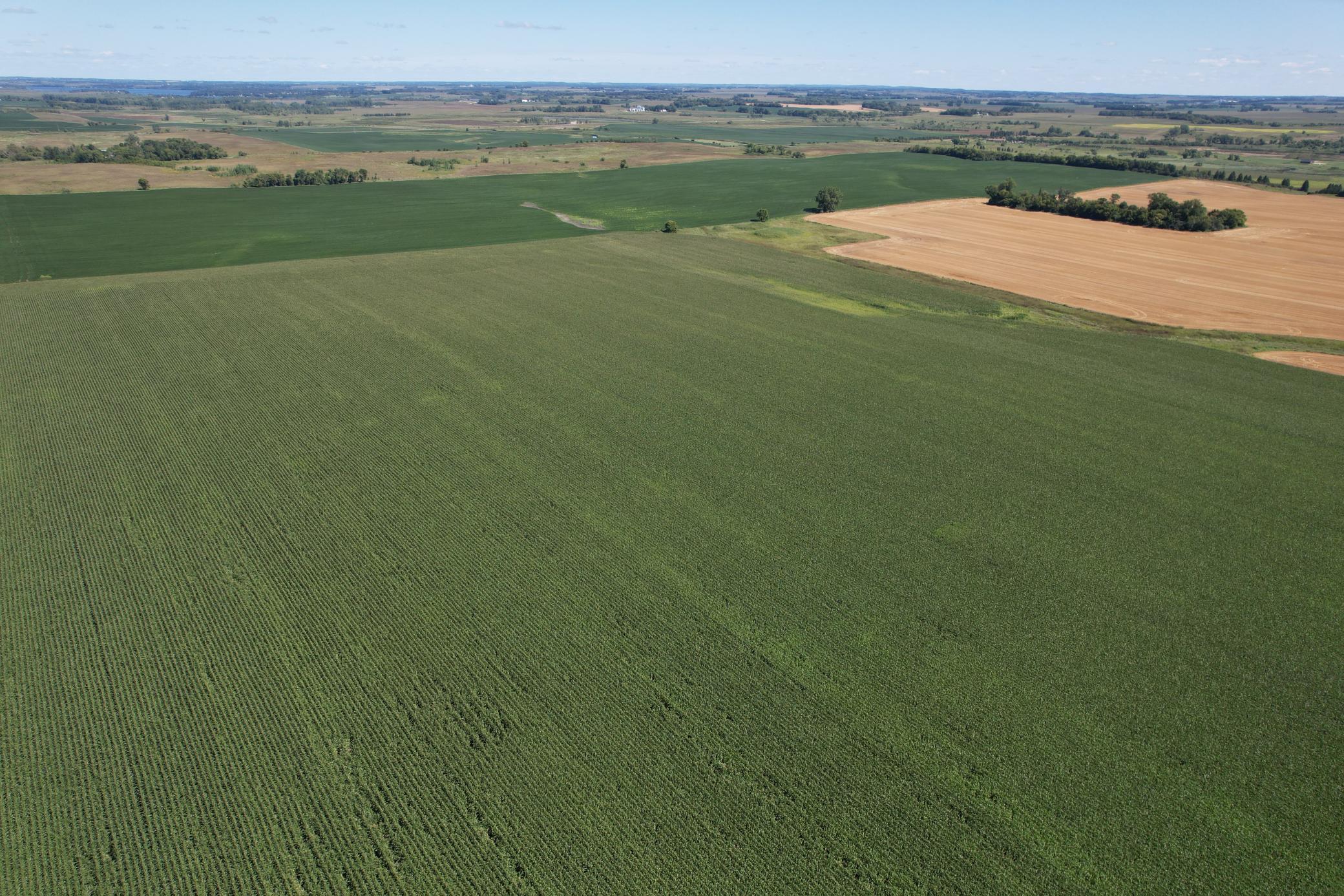 21 County Road Elbow Lake, MN 56531 - Photo 9 of 13