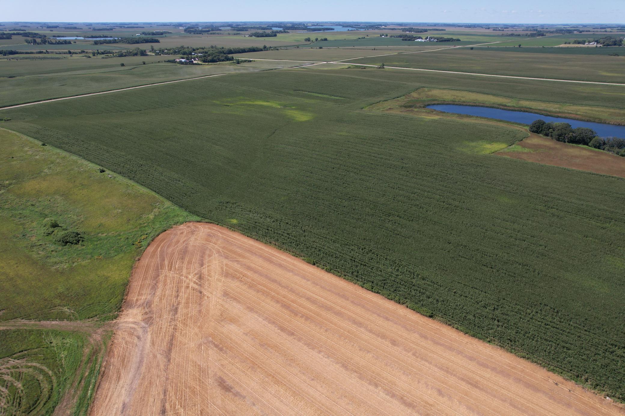 21 County Road Elbow Lake, MN 56531 - Photo 10 of 13