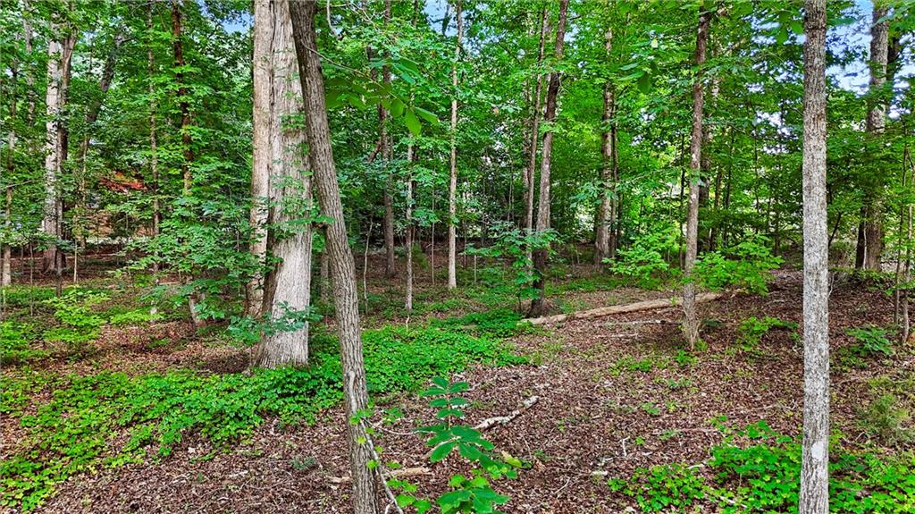 50 Sims Road Covington, GA 30016 - Photo 10 of 19