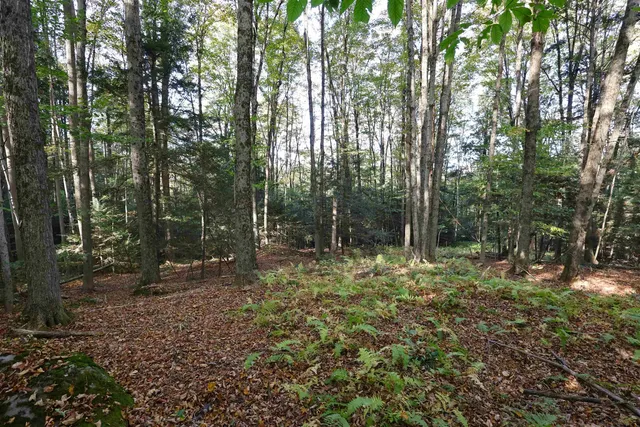 $137,000 | 0 Woodlawn Drive, Unit 2 & 3, White River Junction, VT 05001