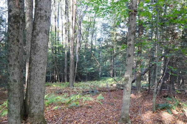 $137,000 | 0 Woodlawn Drive, Unit 2 & 3, White River Junction, VT 05001