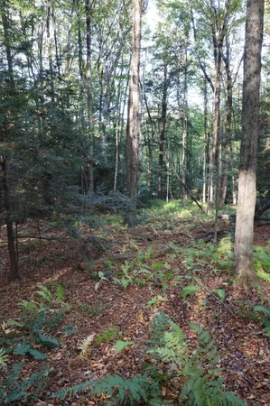 $137,000 | 0 Woodlawn Drive, Unit 2 & 3, White River Junction, VT 05001