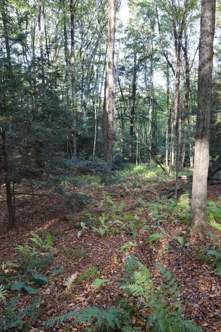 $137,000 | 0 Woodlawn Drive, Unit 2 & 3, White River Junction, VT 05001