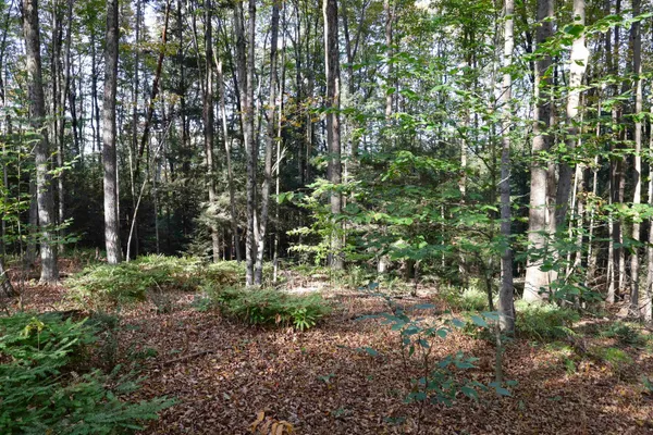 $137,000 | 0 Woodlawn Drive, Unit 2 & 3, White River Junction, VT 05001