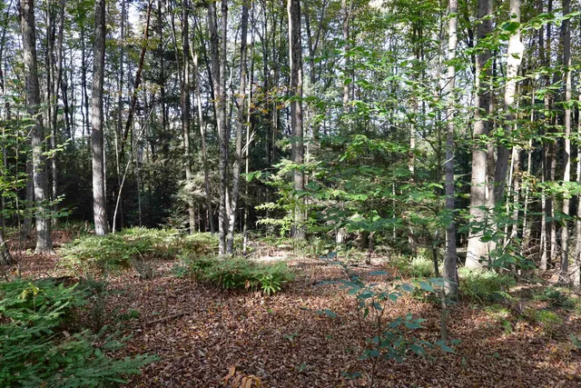 $137,000 | 0 Woodlawn Drive, Unit 2 & 3, White River Junction, VT 05001