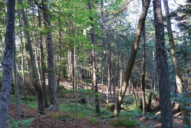 $137,000 | 0 Woodlawn Drive, Unit 2 & 3, White River Junction, VT 05001