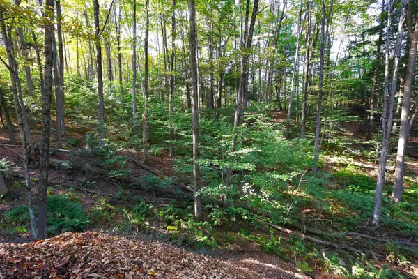 $137,000 | 0 Woodlawn Drive, Unit 2 & 3, White River Junction, VT 05001