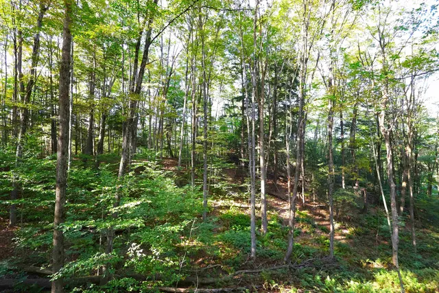 $137,000 | 0 Woodlawn Drive, Unit 2 & 3, White River Junction, VT 05001