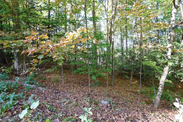 $137,000 | 0 Woodlawn Drive, Unit 2 & 3, White River Junction, VT 05001