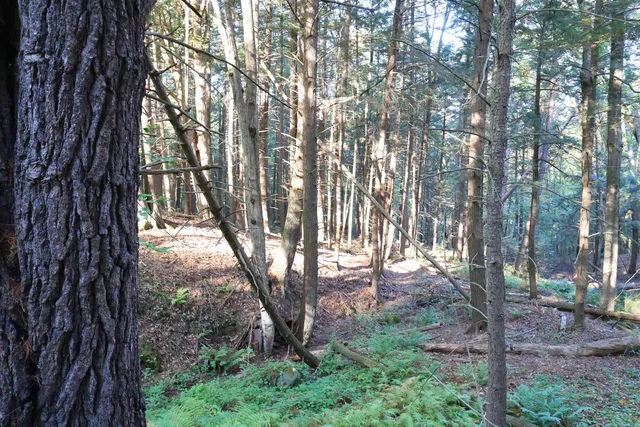 $137,000 | 0 Woodlawn Drive, Unit 2 & 3, White River Junction, VT 05001