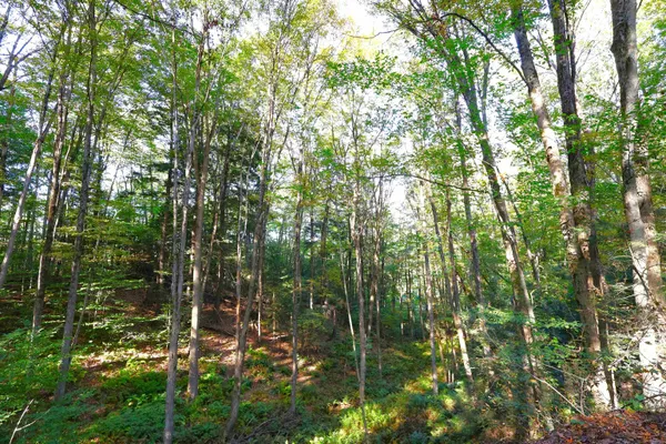 $137,000 | 0 Woodlawn Drive, Unit 2 & 3, White River Junction, VT 05001