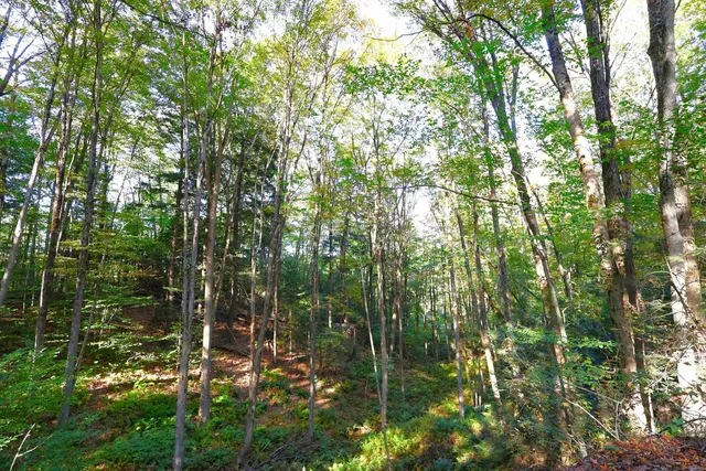 $137,000 | 0 Woodlawn Drive, Unit 2 & 3, White River Junction, VT 05001